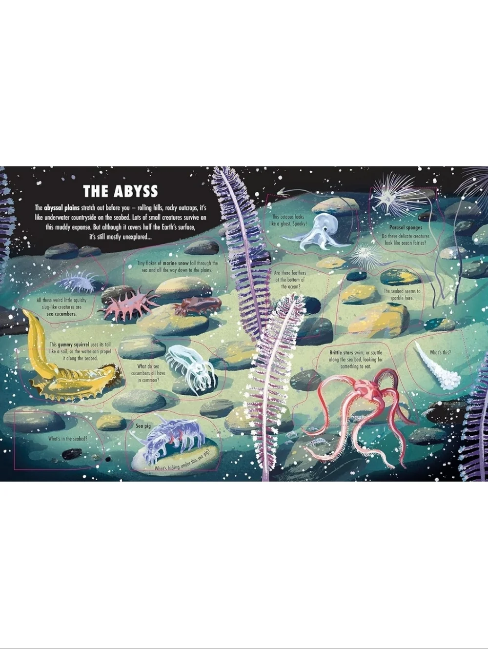 Extreme Planet: The Deep A Lift A Flap Book About Ocean Creatures NEW